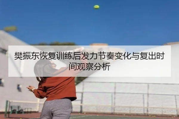 樊振东恢复训练后发力节奏变化与复出时间观察分析